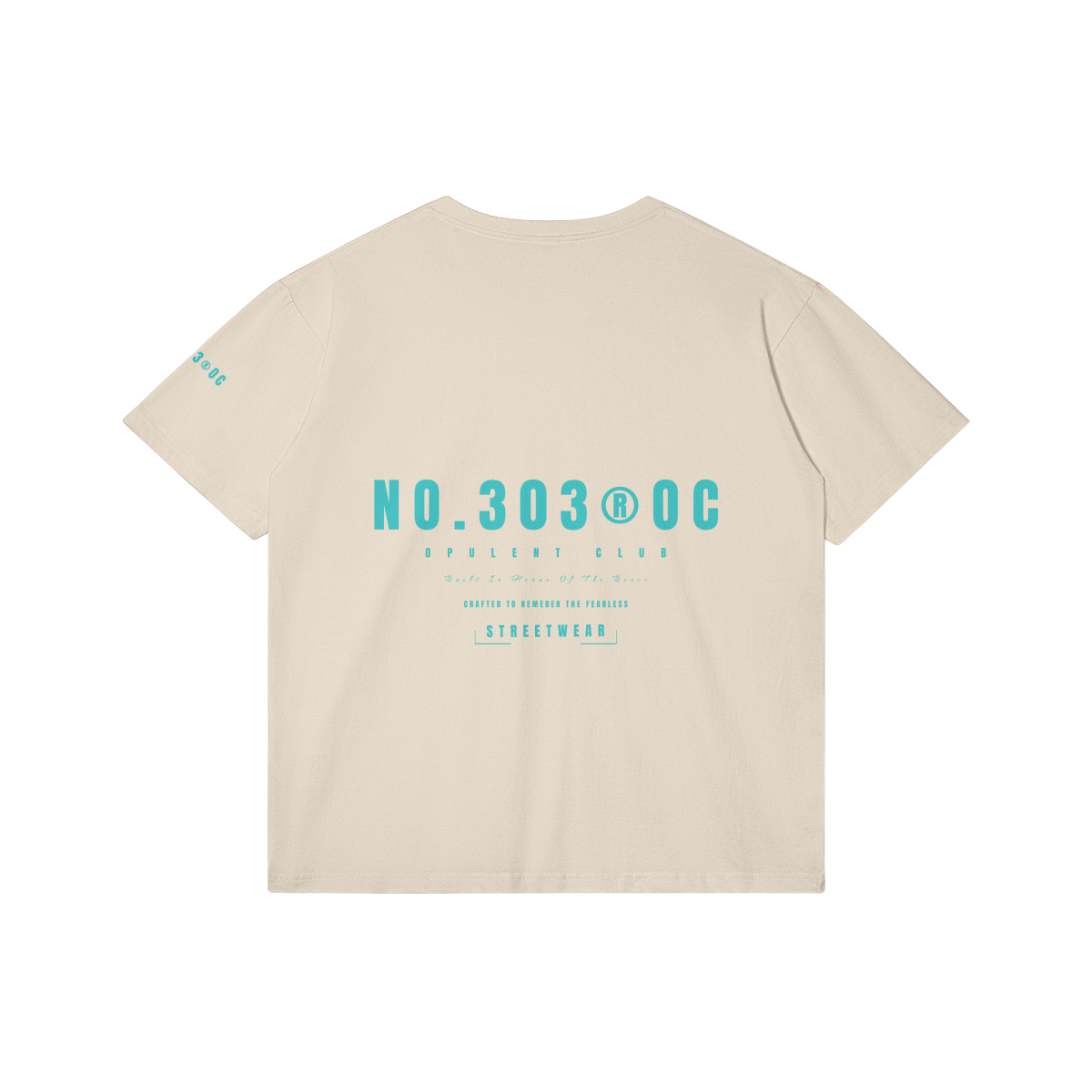 0-Y87-Back Side